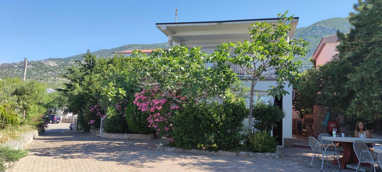 Resort Haus Toma Cesarica Exterior photo