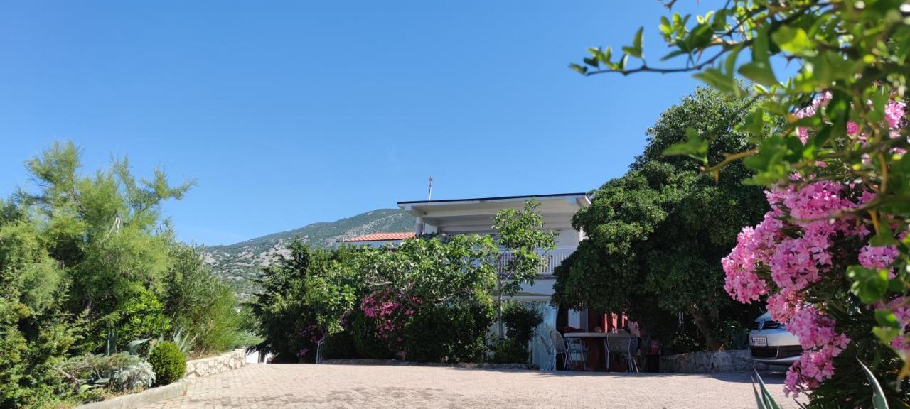 Resort Haus Toma Cesarica Exterior photo