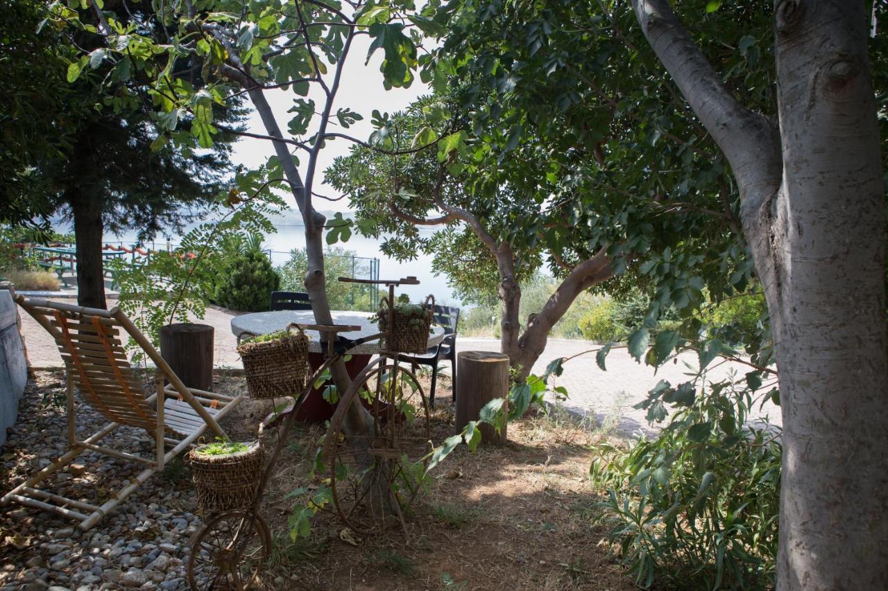 Resort Haus Toma Cesarica Exterior photo
